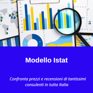 Modello ISTAT