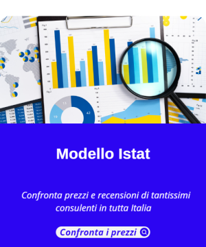 Modello ISTAT