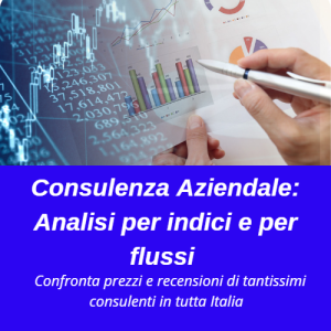 L'analisi di bilancio per indici, è una vera e propria indagine volta a rielaborare le informazioni contenute nel bilancio d'esercizio al fine di capire l'evoluzione, lo stato di salute e gli scenari futuri dell'azienda.
